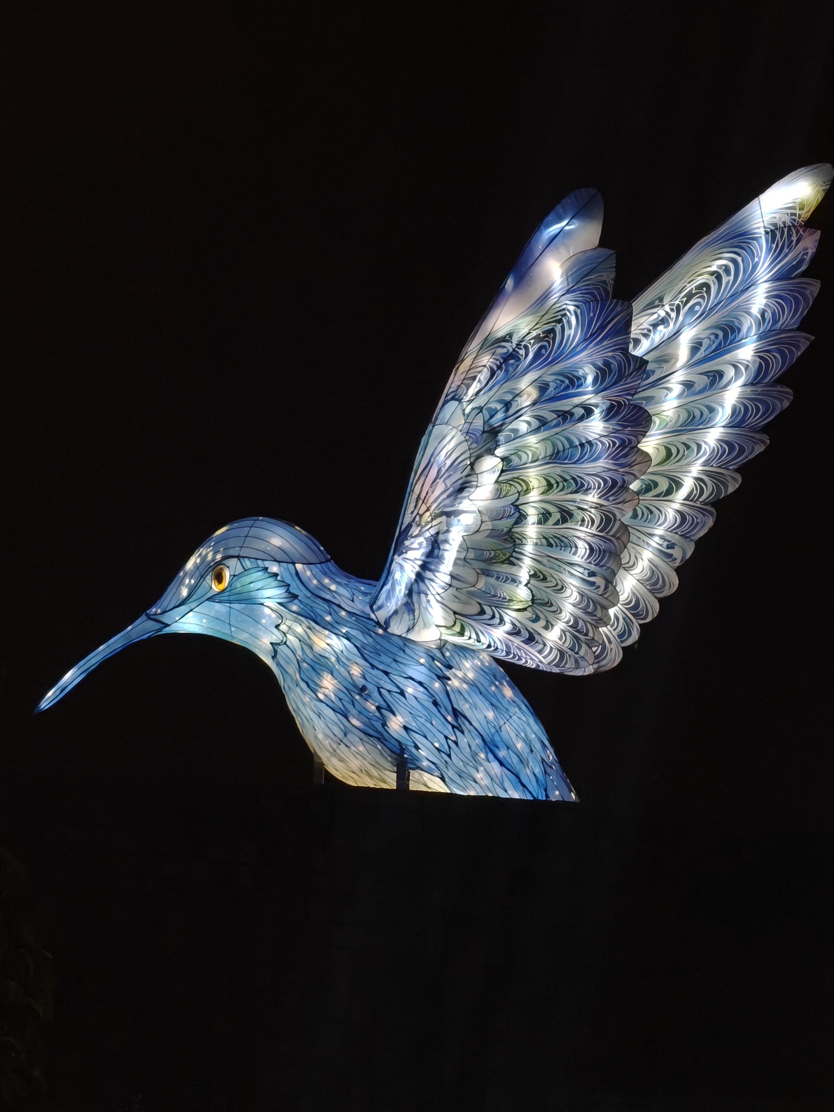 1761119658328(1).jpg 1761119658328(1).jpg