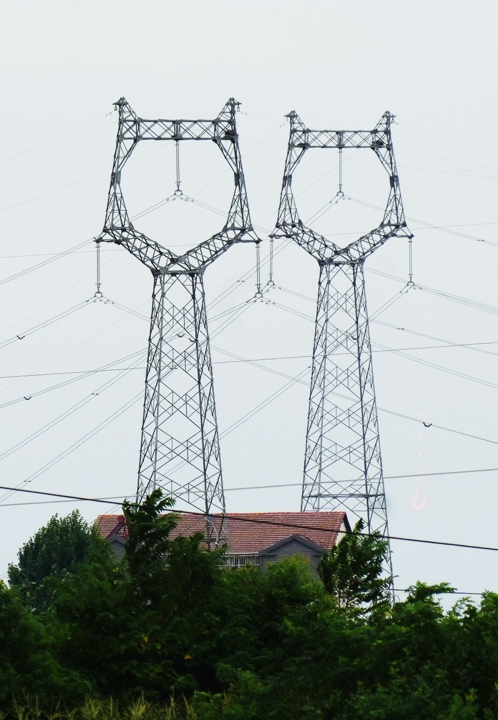 W020240712575448626889.jpeg W020240712575448626889.jpeg