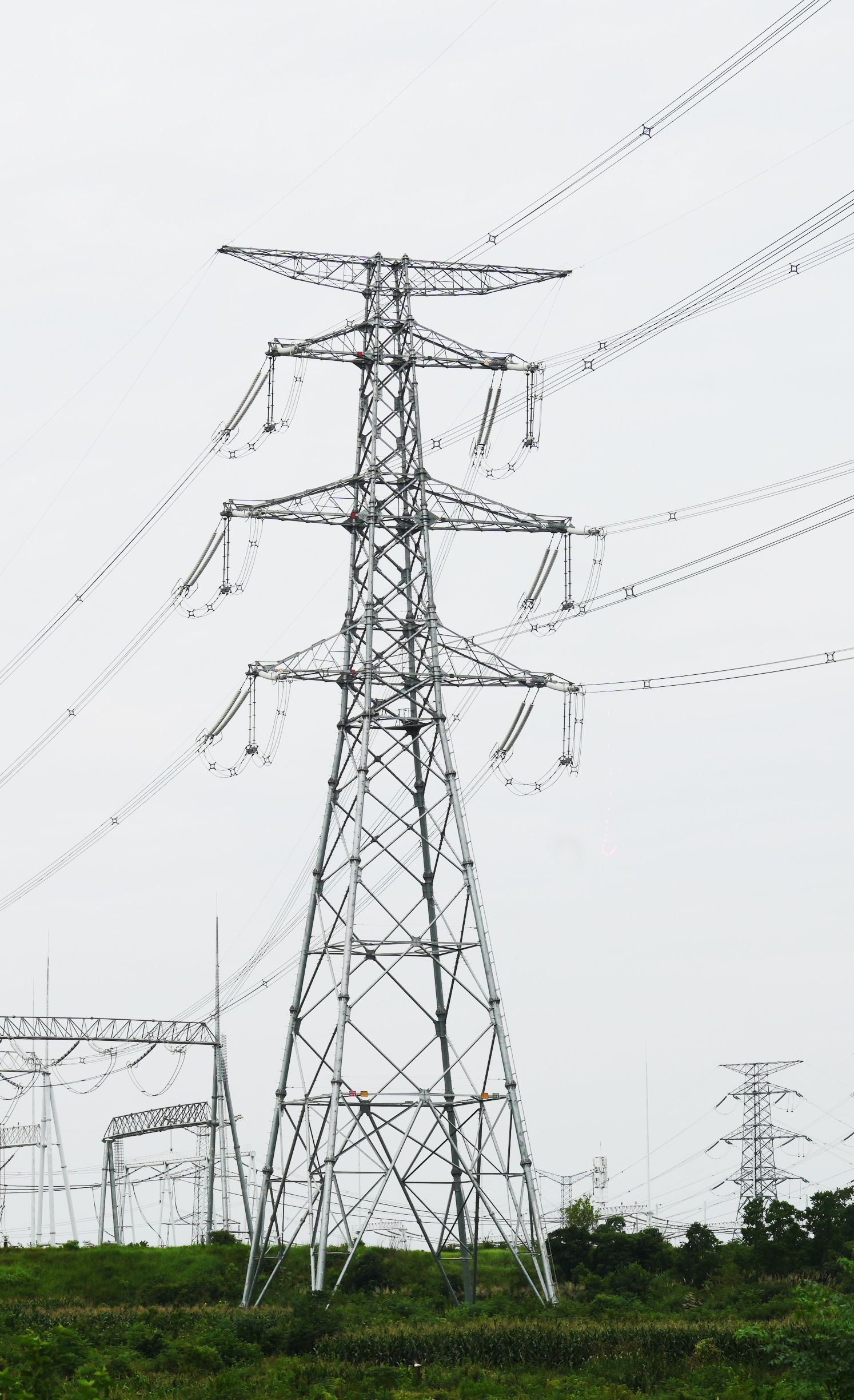 W020240712575458722032.jpeg W020240712575458722032.jpeg